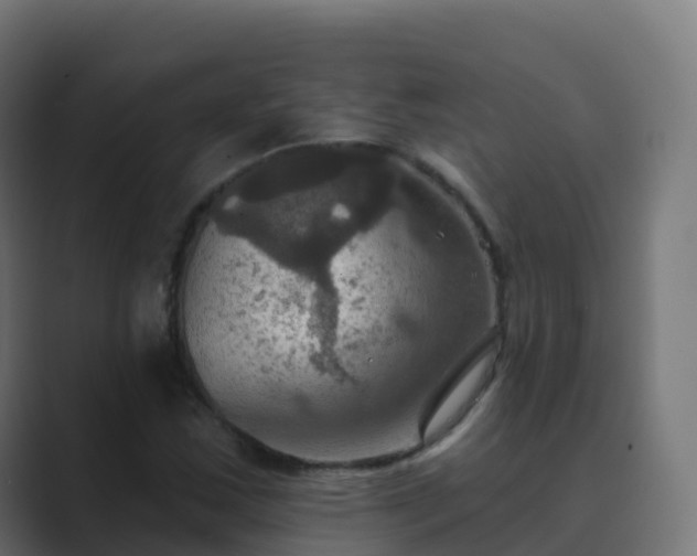 X0000089721163200706281525