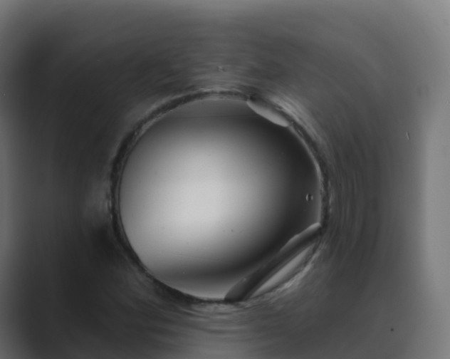 X0000089721164200706281525