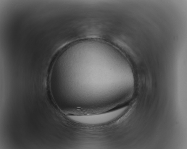 X0000089721166200706281525