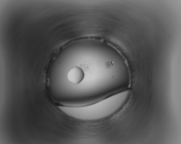 X0000089721169200706281525
