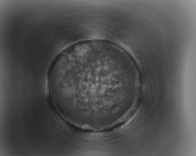 X0000089721171200706281525