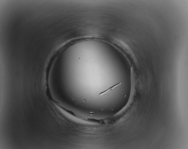 X0000089721172200706281525