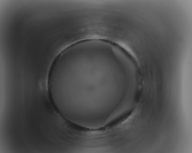 X0000089721173200706281525
