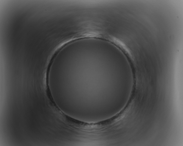 X0000089721174200706281525