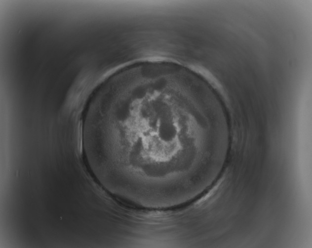 X0000089721175200706281525