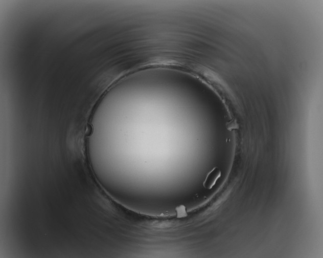 X0000089721177200706281525