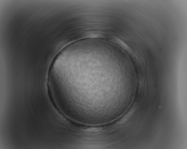 X0000089721178200706281525