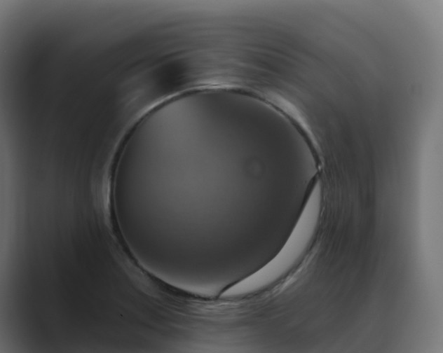 X0000089721179200706281525
