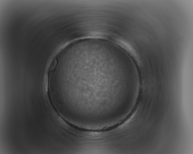 X0000089721180200706281525