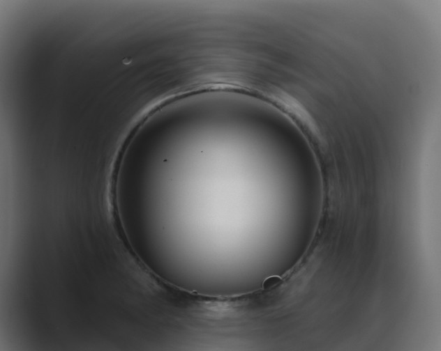 X0000089721182200706281525