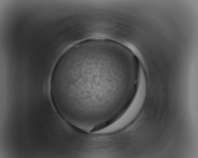 X0000089721183200706281525