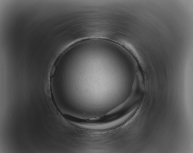 X0000089721184200706281525