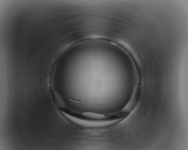 X0000089721185200706281525