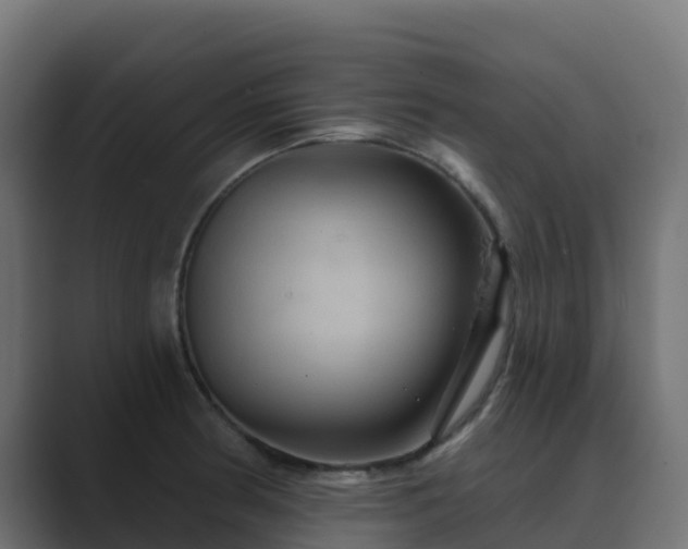 X0000089721186200706281525