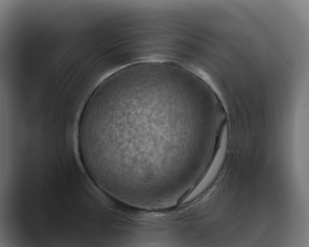 X0000089721187200706281525