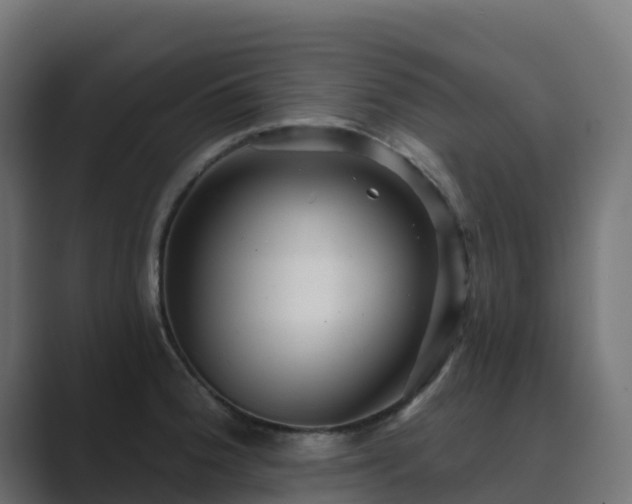 X0000089721188200706281525