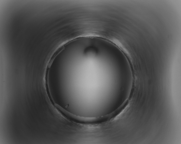X0000089721189200706281525
