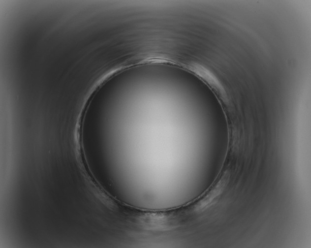 X0000089721190200706281525