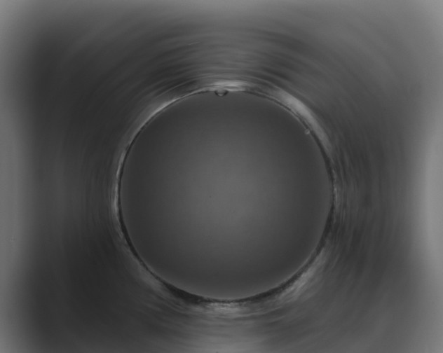 X0000089721194200706281525