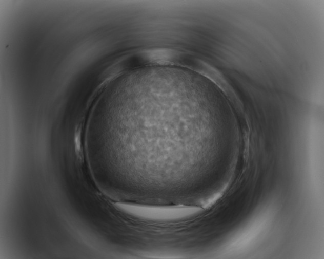 X0000089721198200706281525