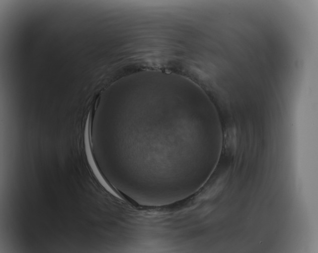 X0000089721202200706281524