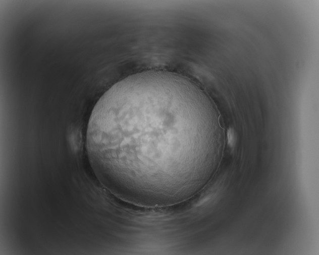 X0000089721203200706281524
