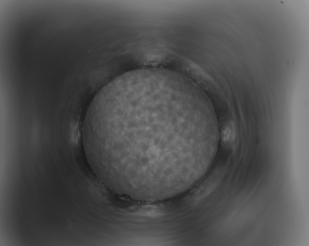 X0000089721204200706281524