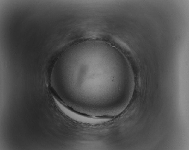 X0000089721206200706281524