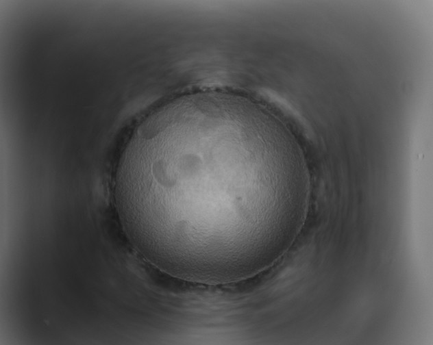 X0000089721207200706281524