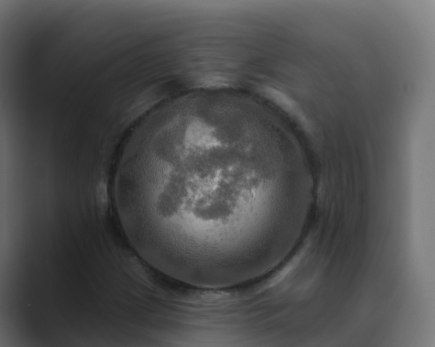 X0000089721209200706281524