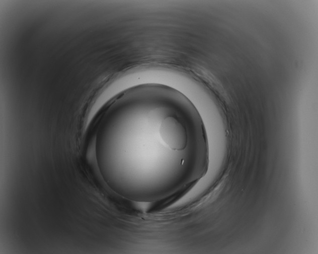 X0000089721210200706281524