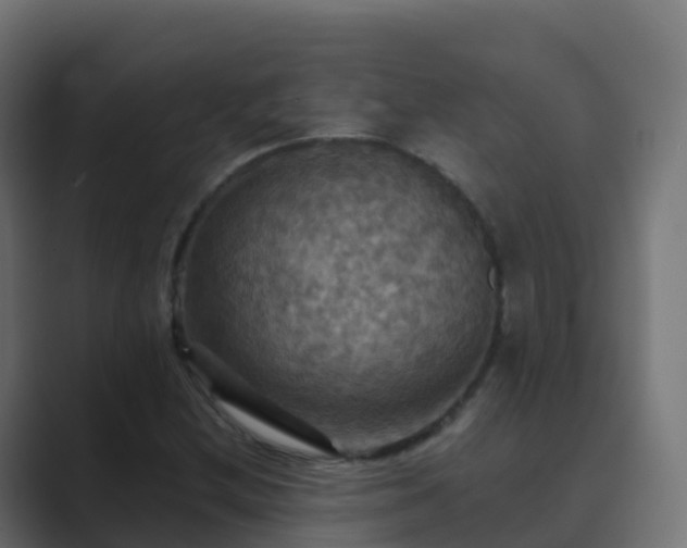 X0000089721212200706281524