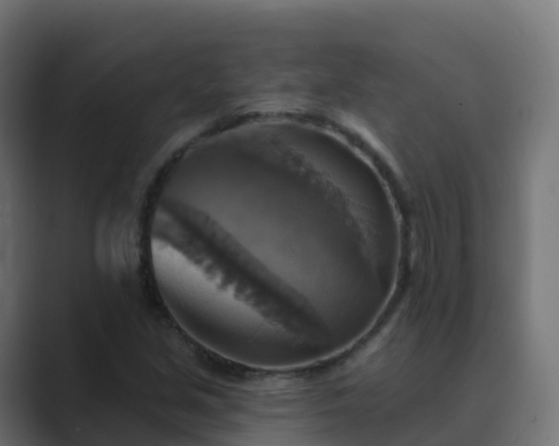 X0000089721213200706281524