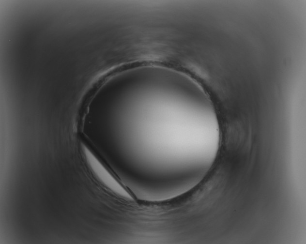 X0000089721214200706281524