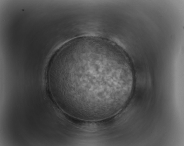 X0000089721215200706281524