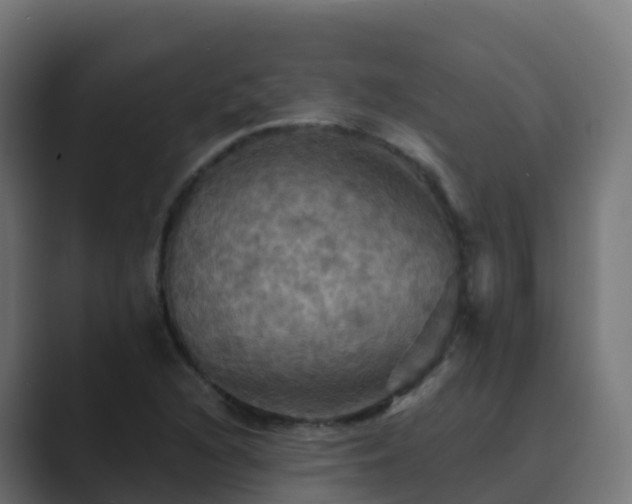 X0000089721216200706281524