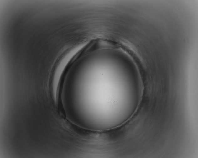 X0000089721218200706281524
