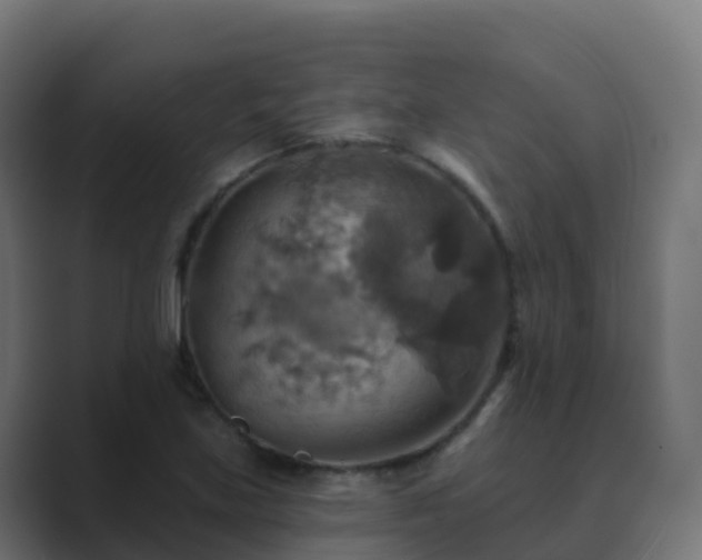 X0000089721219200706281524