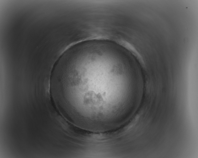 X0000089721220200706281525