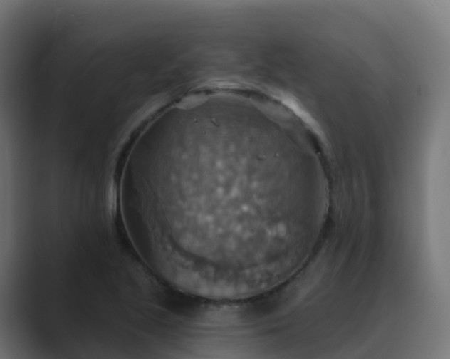X0000089721221200706281525