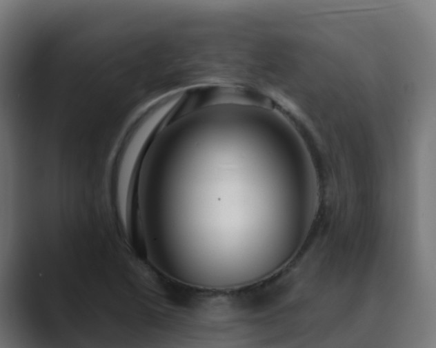 X0000089721222200706281525