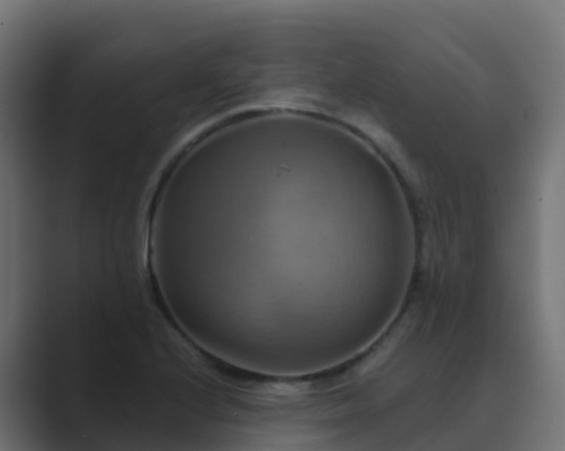 X0000089721224200706281525