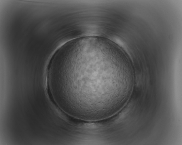 X0000089721227200706281525