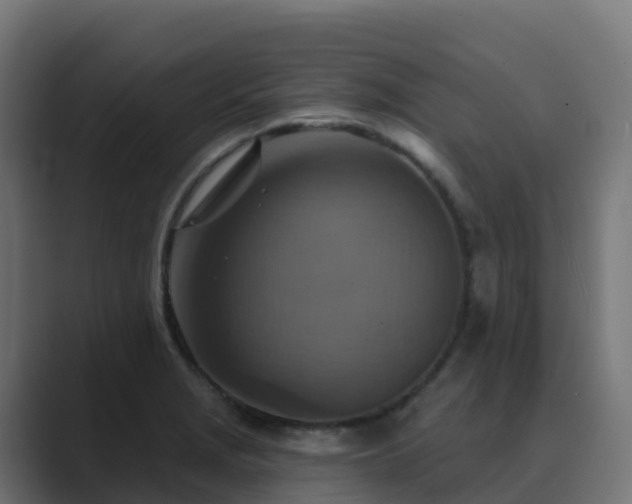 X0000089721229200706281525