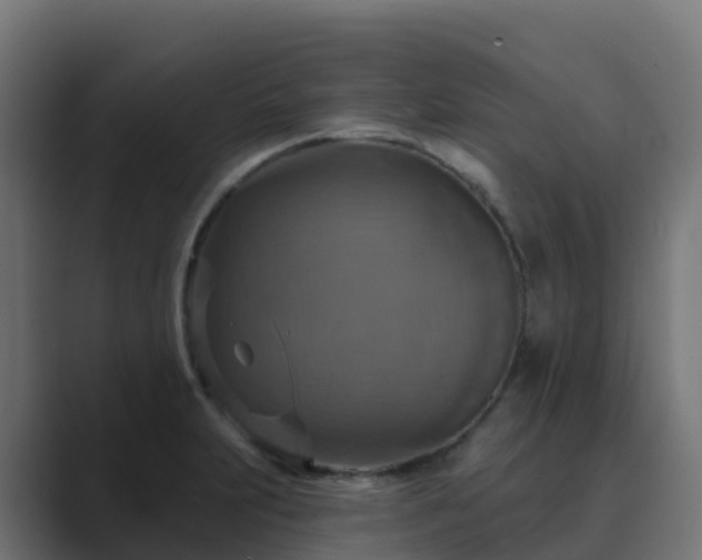 X0000089721231200706281525