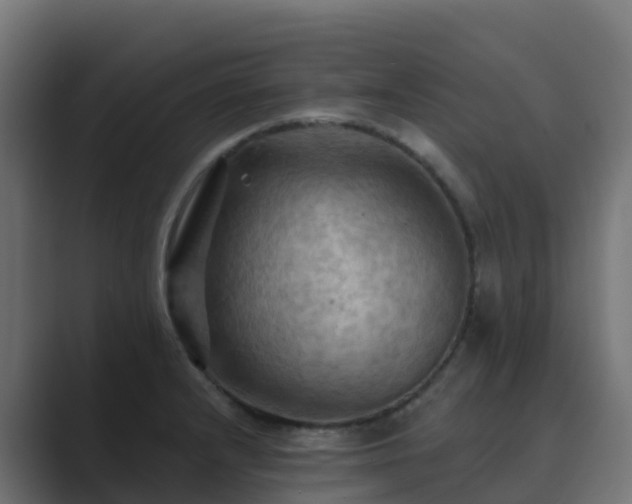 X0000089721232200706281525