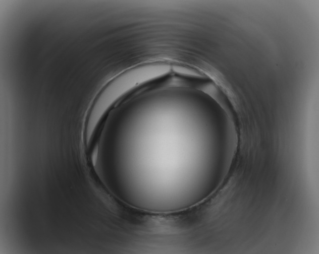 X0000089721234200706281525