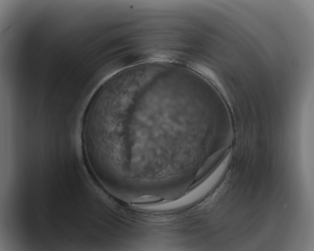 X0000089721235200706281525