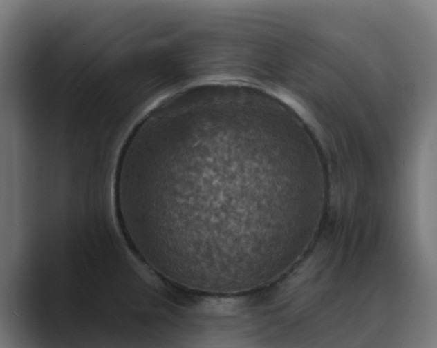 X0000089721237200706281525