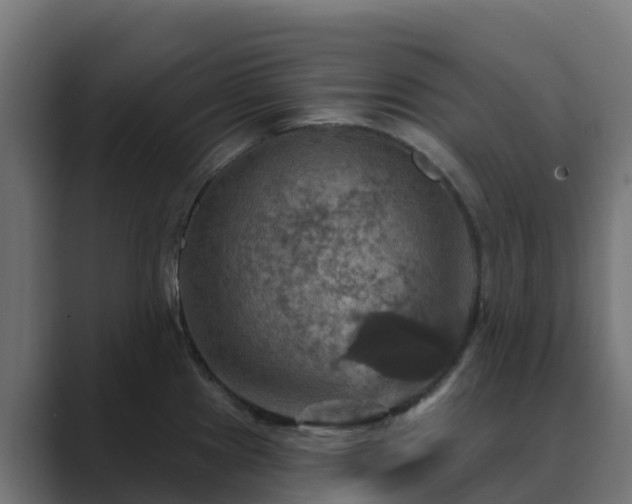 X0000089721241200706281525